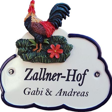 Ferienwohnung Zallnerhof Am Elberadweg In Steutz 外观 照片