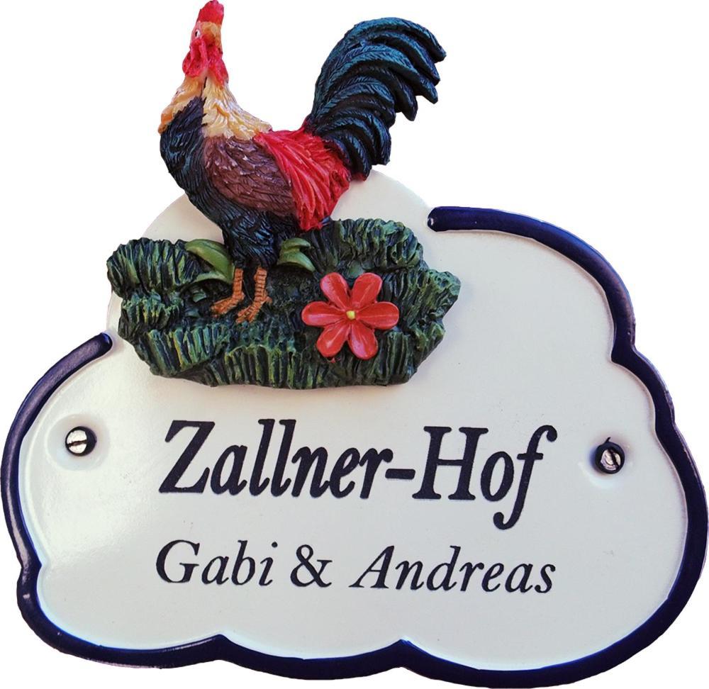 Ferienwohnung Zallnerhof Am Elberadweg In Steutz 外观 照片