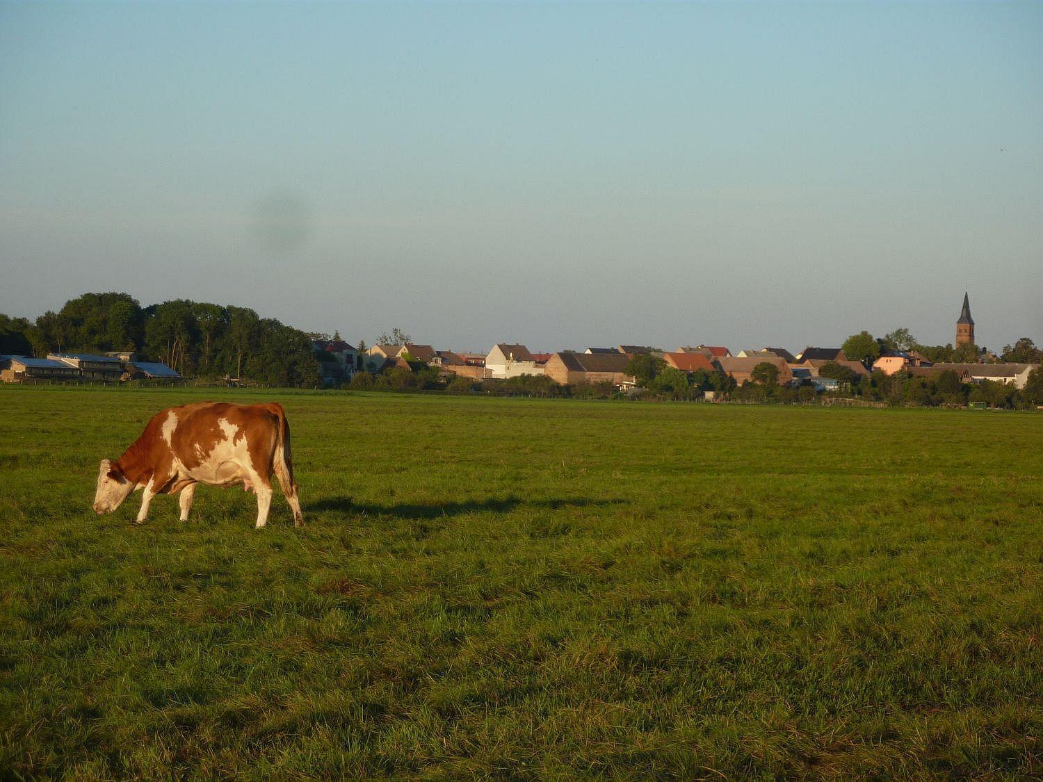 Ferienwohnung Zallnerhof Am Elberadweg In Steutz 外观 照片